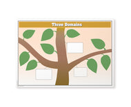 The Three Domains Chart