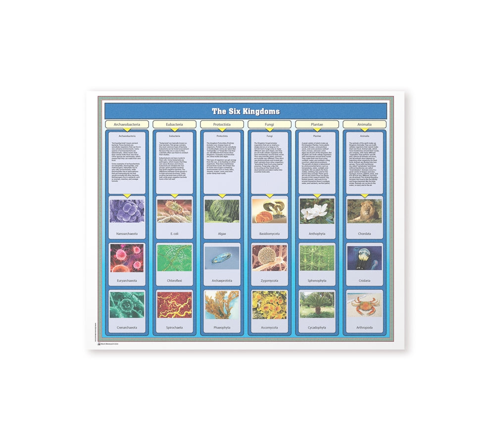 The Six Kingdoms Chart w/Cards