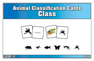 Animal Classification Cards - Class (Printed)