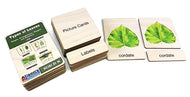 Types of Leaves Nomenclature Cards: Wooden