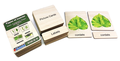 Types of Leaves Nomenclature Cards: Wooden