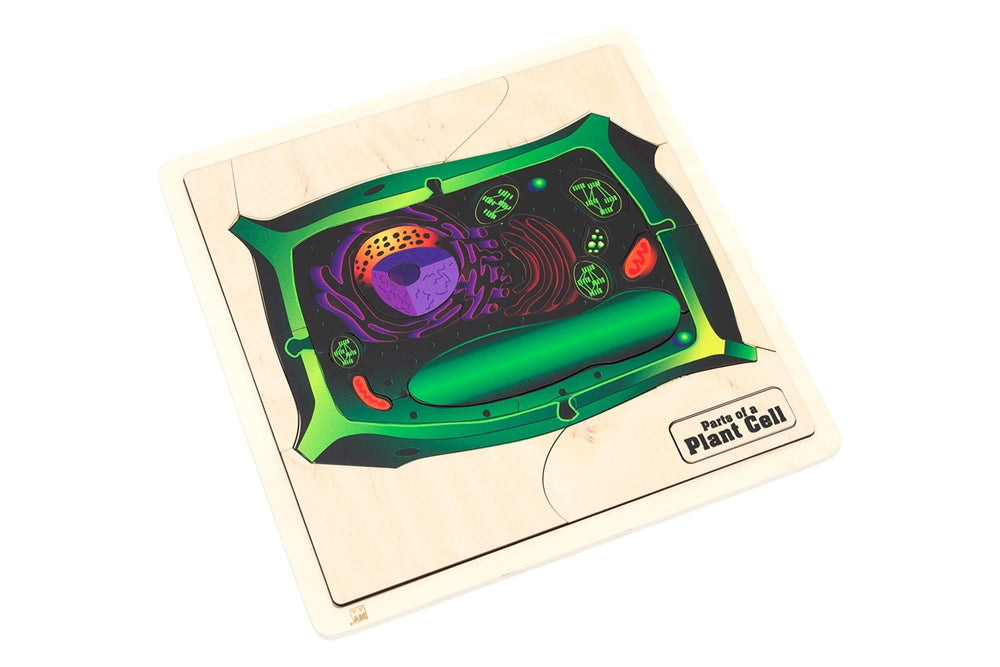 Parts of a Plant Cell Puzzle with Nomenclature Cards (6-9)