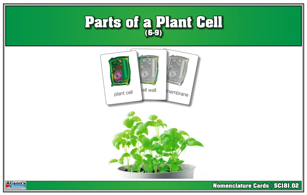 Parts of a Plant Cell Puzzle with Nomenclature Cards (6-9)