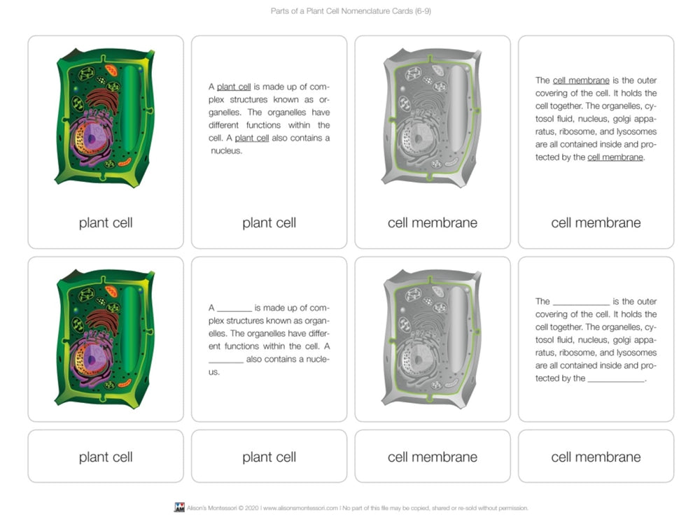 Parts of a Plant Cell Puzzle with Nomenclature Cards (6-9)