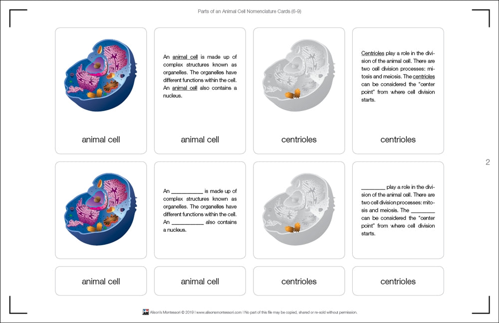 Parts of an Animal Cell Nomenclature Cards 6-9 (Printed)