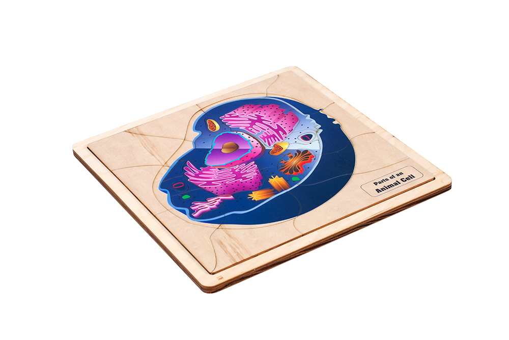 Parts of an Animal Cell Puzzle with Nomenclature Cards (6-9)