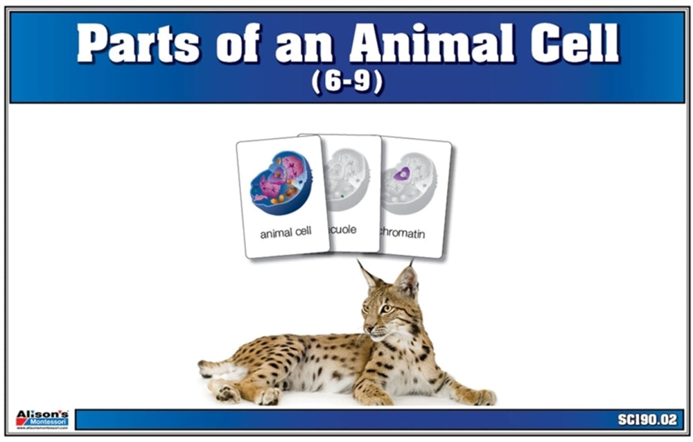 Parts of an Animal Cell Puzzle with Nomenclature Cards (6-9)