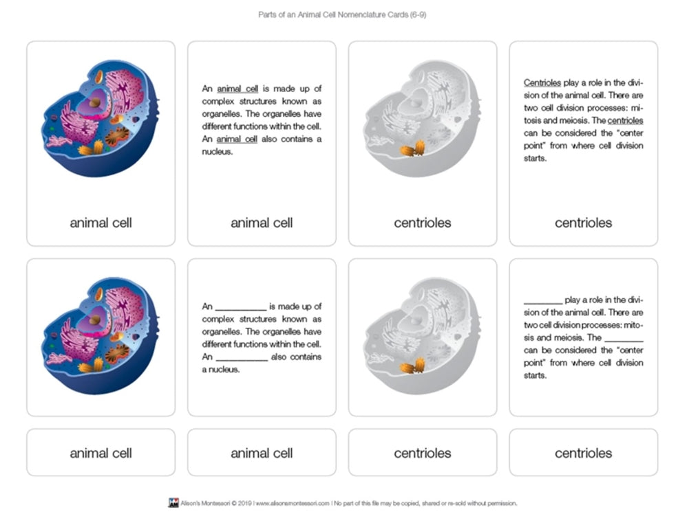 Parts of an Animal Cell Puzzle with Nomenclature Cards (6-9)