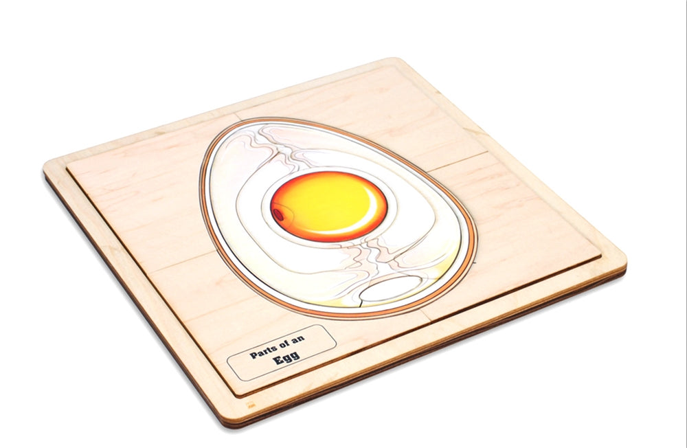 Parts of an Egg Puzzle