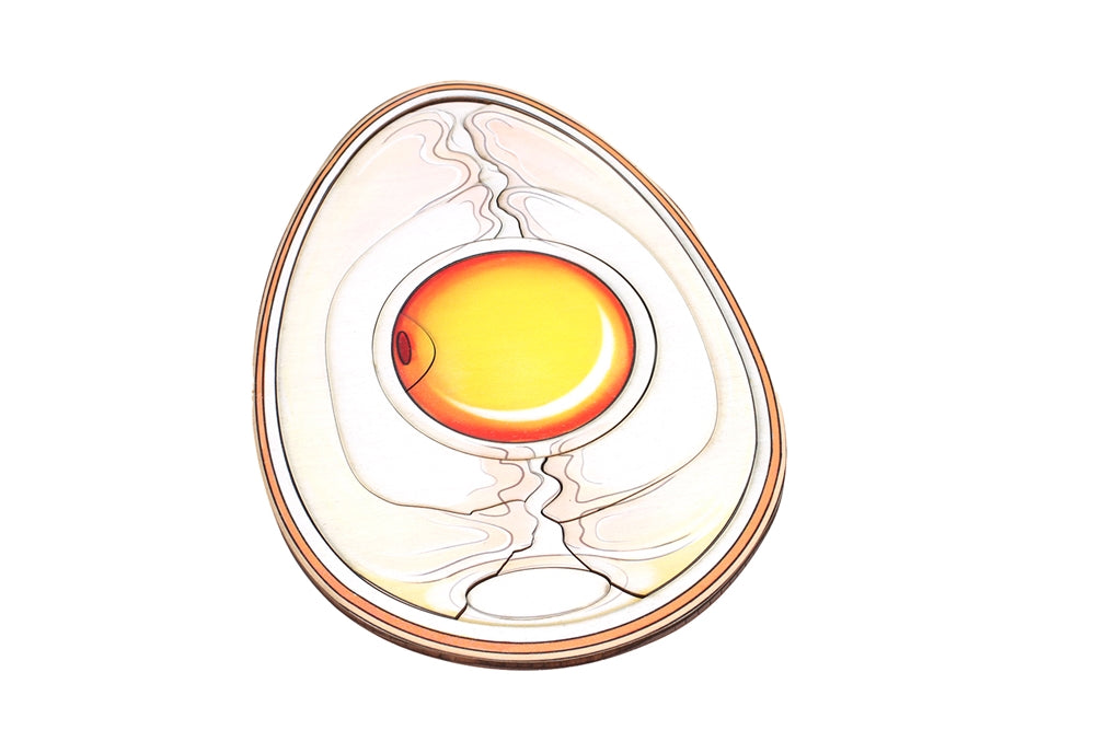 Parts of an Egg Puzzle