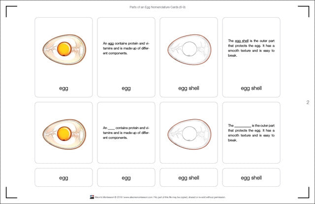Parts of an Egg Nomenclature Cards (6-9)