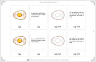 Parts of an Egg Nomenclature Cards (6-9)