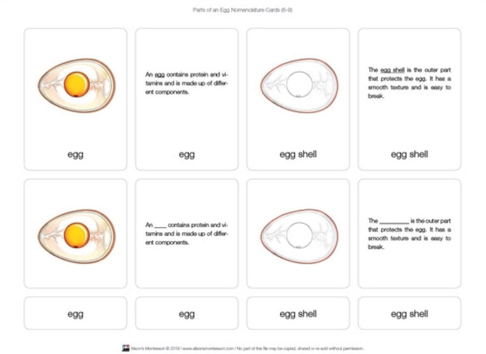 Parts of an Egg Puzzle and Nomenclature Cards (6-9)