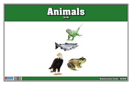 Animals Nomenclature Cards (Printed)