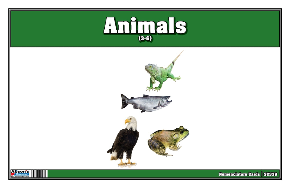 Animals Nomenclature Cards (Printed)