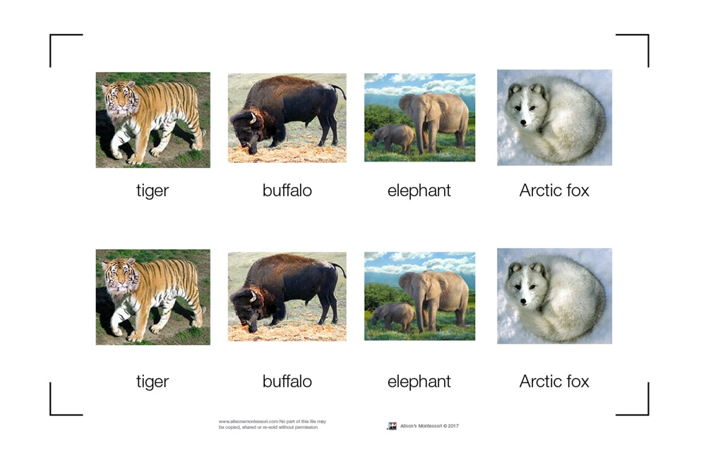 Animals Nomenclature Cards (Printed)