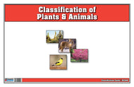 Classification of Plants & Animals (Printed)
