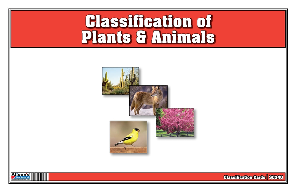Classification of Plants & Animals (Printed)
