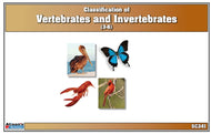 Classification of Vertebrates & Invertebrates Nomenclature Cards (Printed)