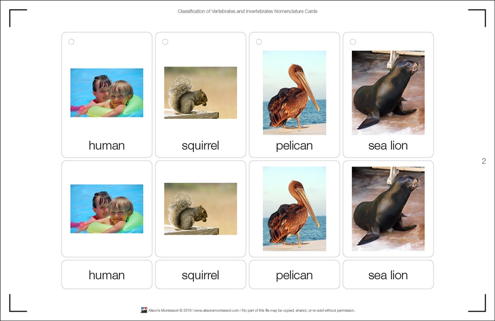 Classification of Vertebrates & Invertebrates Nomenclature Cards (Printed)