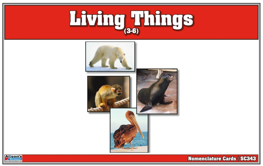 Living Things Nomenclature Cards (Printed)