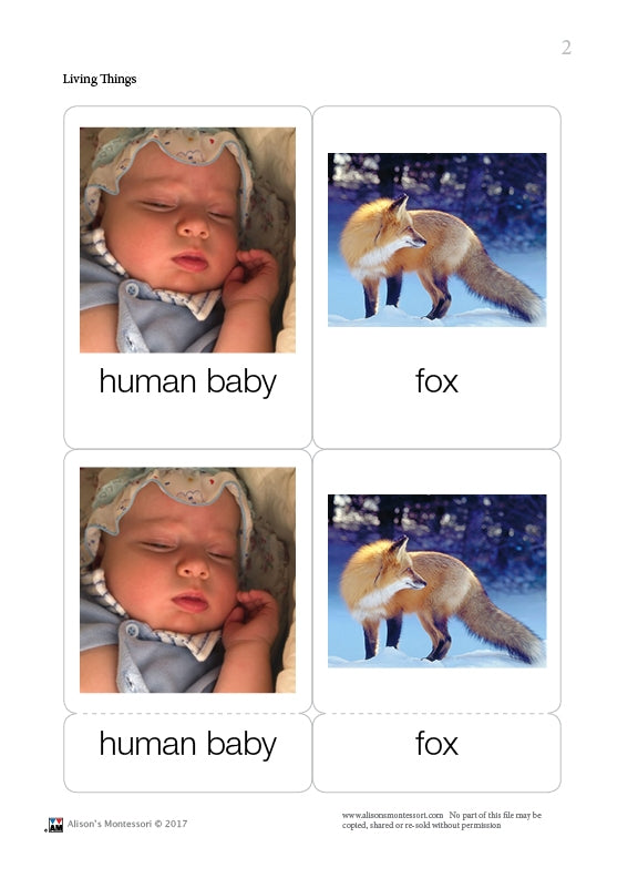Living Things Nomenclature Cards (Printed)