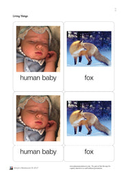 Living Things Nomenclature Cards (Printed)