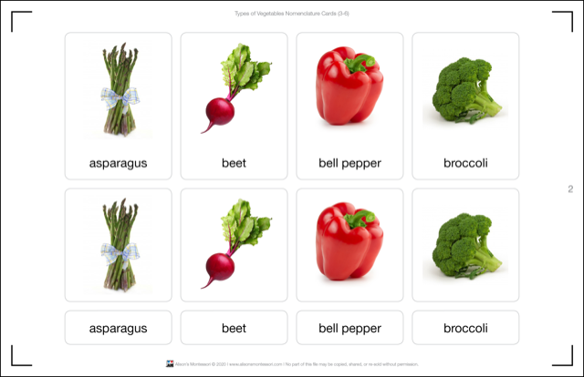 Types of Vegetables Nomenclature Cards (Printed)