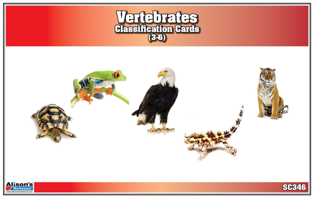 Vertebrates Classification Nomenclature Cards (Printed)