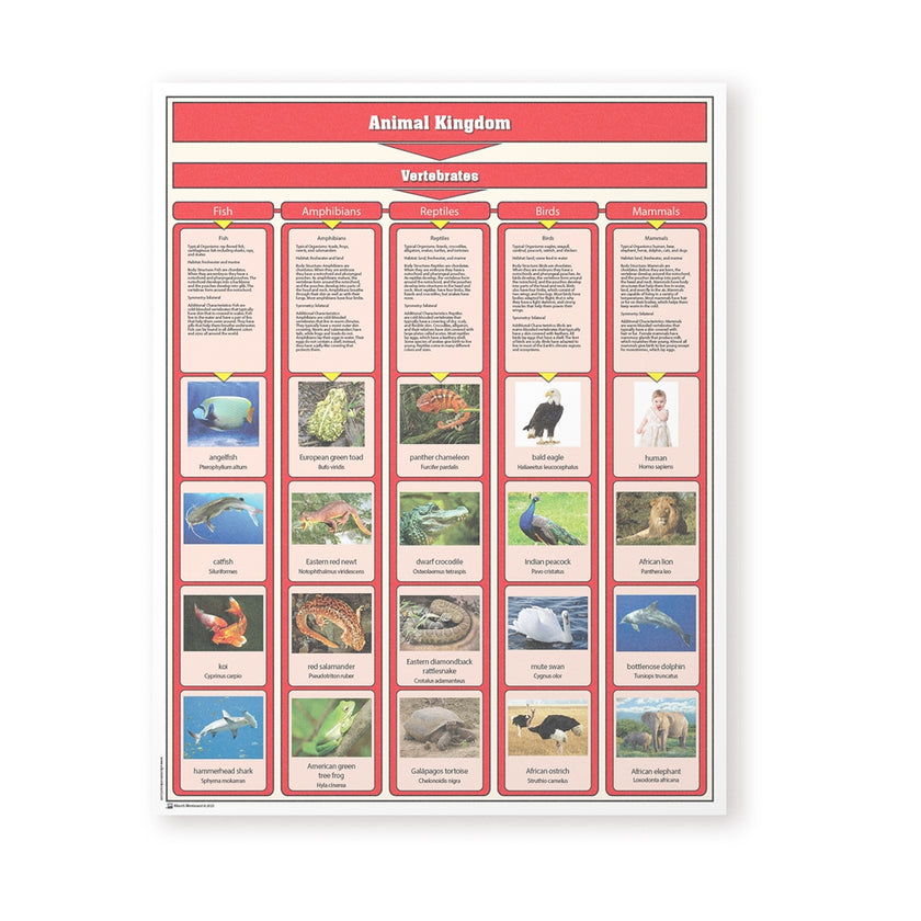 Animal Kingdom Chart w/Cards- Vertebrates
