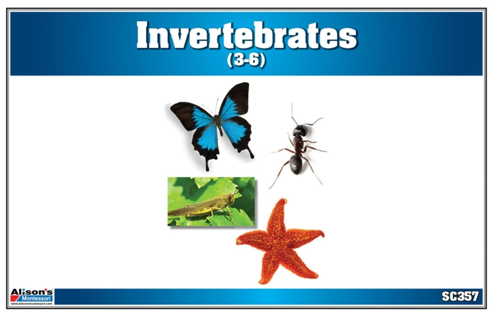 Invertebrates Nomenclature Cards (Printed)
