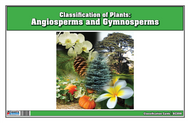 Classification of Plants: Angiosperms and Gymnosperms