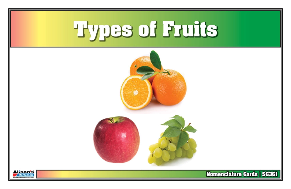 Types of Fruits (Printed)