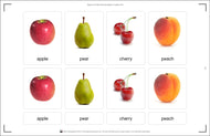 Types of Fruits (Printed)
