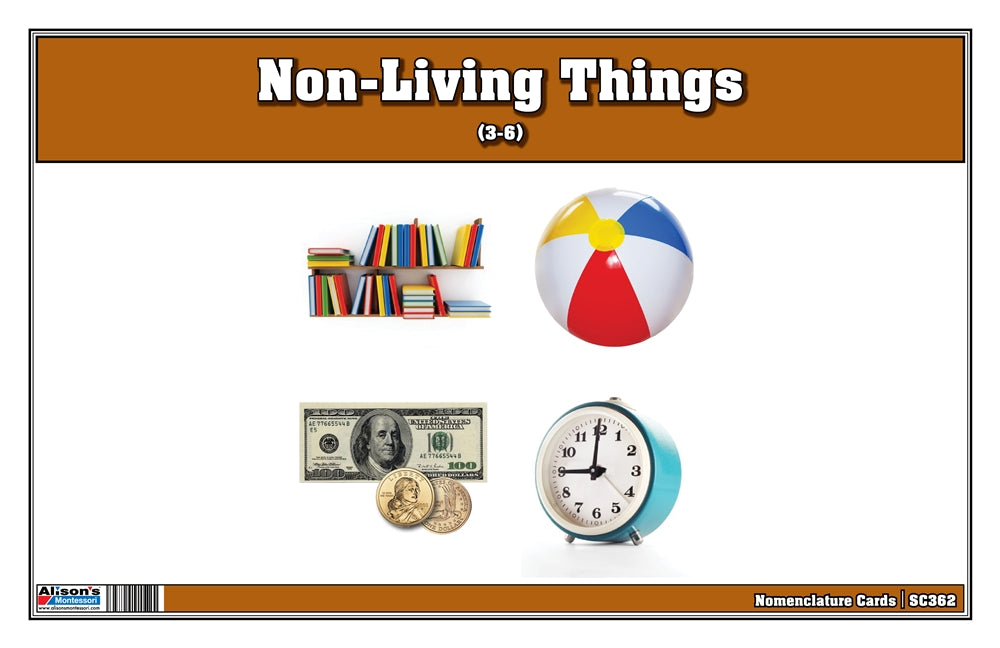 Non-Living Things Nomenclature Cards (Printed)