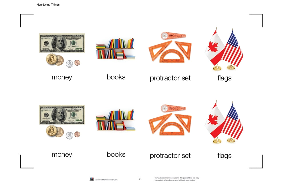 Non-Living Things Nomenclature Cards (Printed)