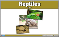 Reptiles Nomenclature Cards (Printed)