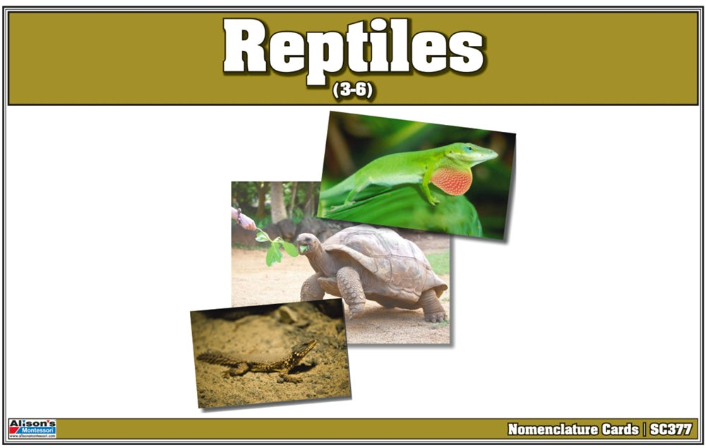 Reptiles Nomenclature Cards (Printed)