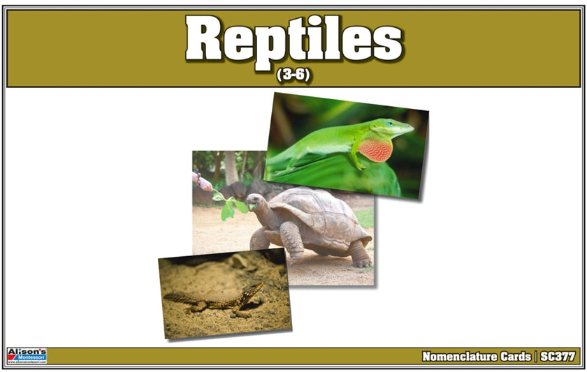 Reptiles Nomenclature Cards (Printed)