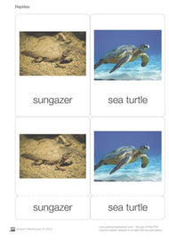 Reptiles Nomenclature Cards (Printed)