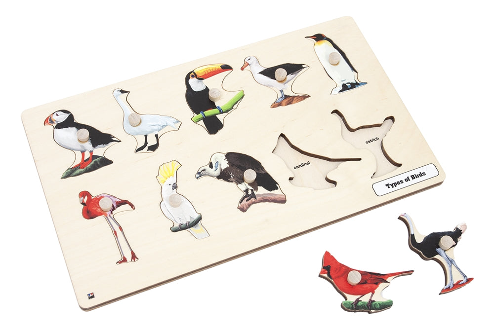 Types of Birds Puzzle