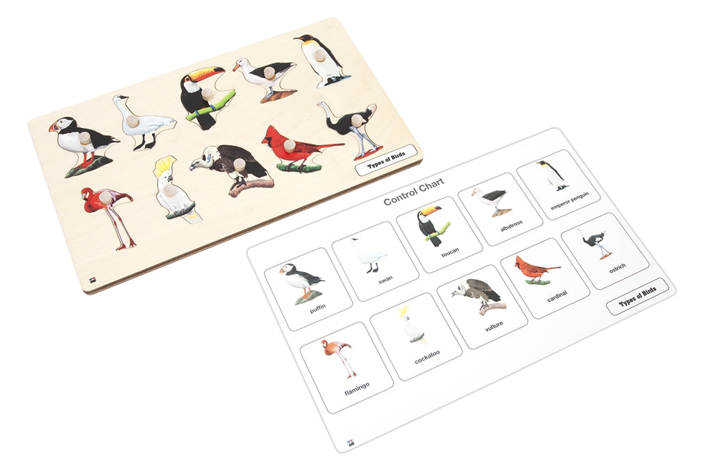 Types of Birds Puzzle