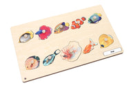 Types of Fish Puzzle