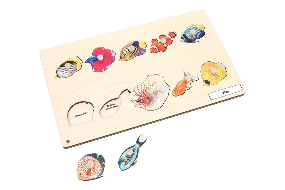 Types of Fish Puzzle