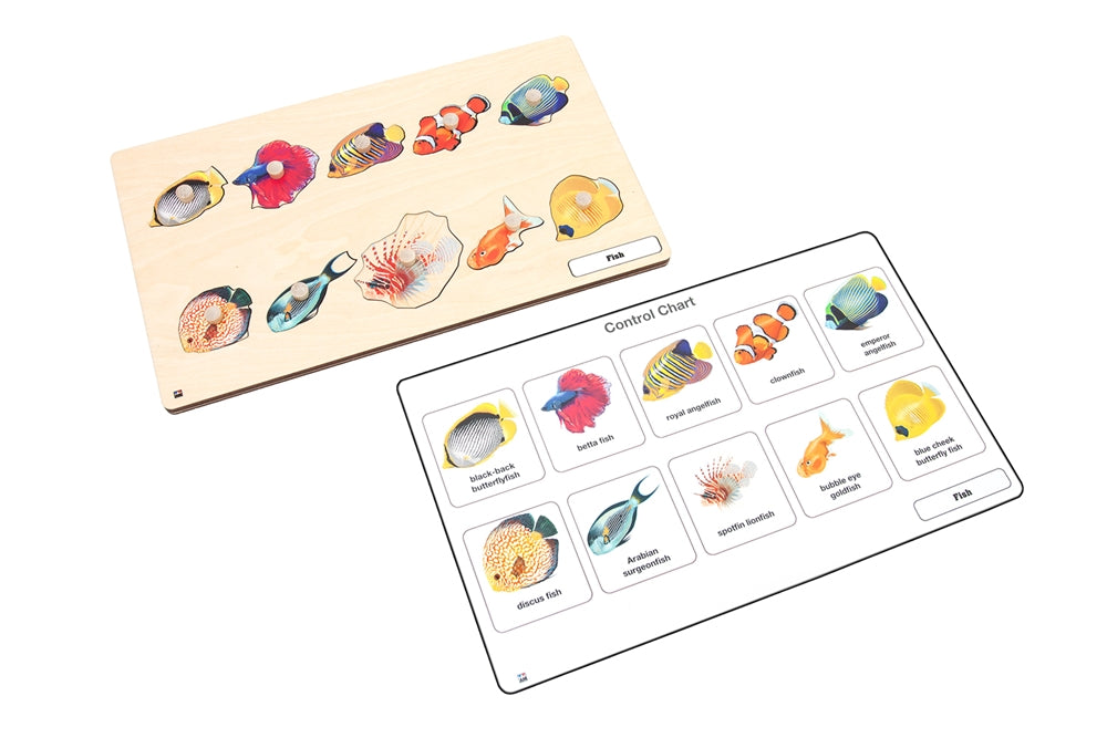 Types of Fish Puzzle