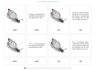 Parts of a Mollusk Nomenclature Cards 6-9 (Printed)