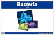 Bacteria Nomenclature Cards (Printed)