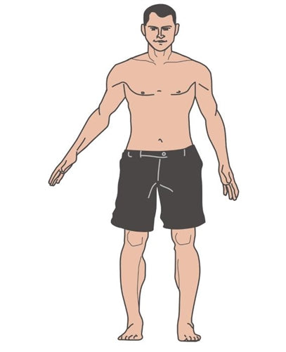 Human Body Parts Nomenclature Cards (Printed)