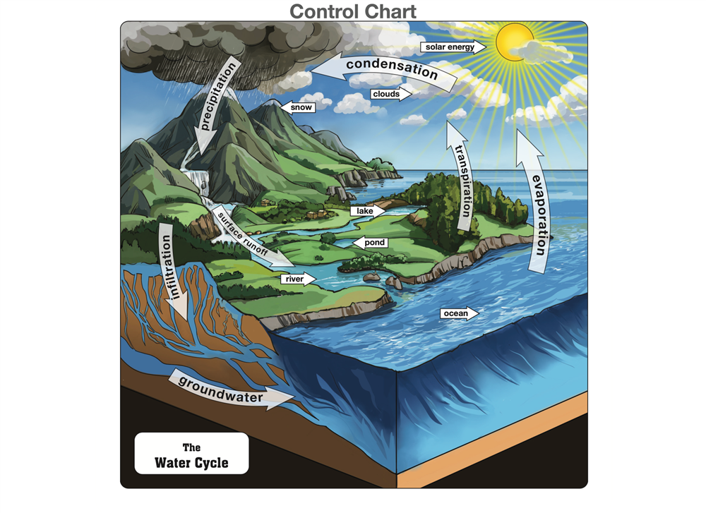 The Water Cycle Puzzle