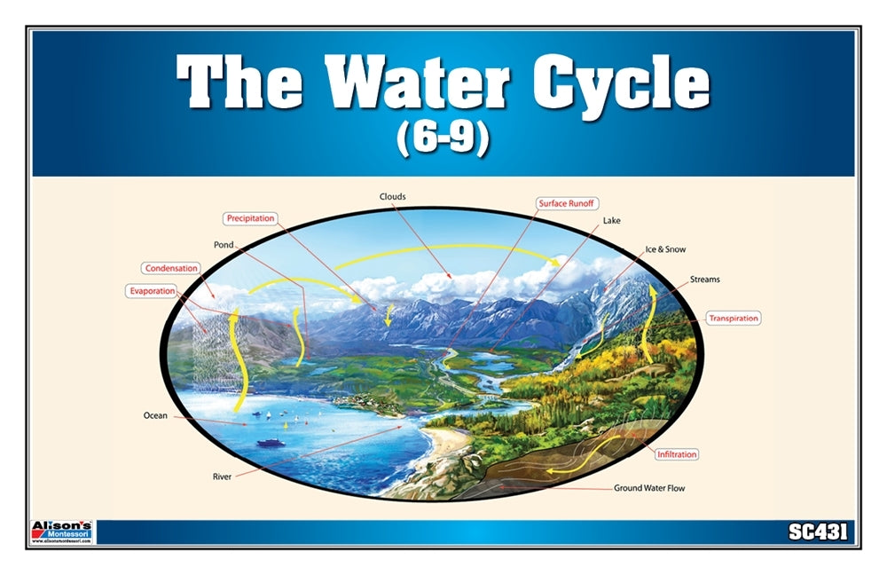 The Water Cycle Puzzle with Nomenclature Cards (6-9)